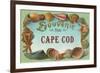 Seashells, Souvenir from Cape Cod, Massachusetts-null-Framed Premium Giclee Print