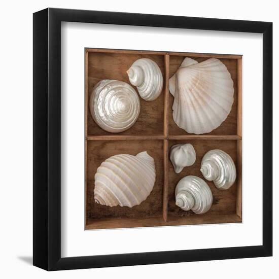 Seashells Treasures III-Assaf Frank-Framed Art Print