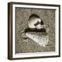 Seashells VII-Alan Hausenflock-Framed Photographic Print