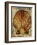 Seashells VIII-Jodi Maas-Framed Giclee Print