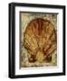 Seashells VIII-Jodi Maas-Framed Giclee Print