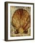 Seashells VIII-Jodi Maas-Framed Giclee Print