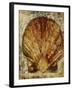 Seashells VIII-Jodi Maas-Framed Giclee Print