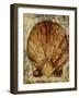 Seashells VIII-Jodi Maas-Framed Giclee Print