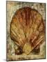Seashells VIII-Jodi Maas-Mounted Giclee Print