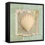 Seashore Collection II-Elizabeth Medley-Framed Stretched Canvas