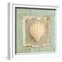 Seashore Collection II-Elizabeth Medley-Framed Art Print