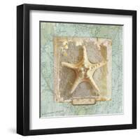 Seashore Collection III-Elizabeth Medley-Framed Art Print