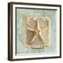 Seashore Collection III-Elizabeth Medley-Framed Art Print