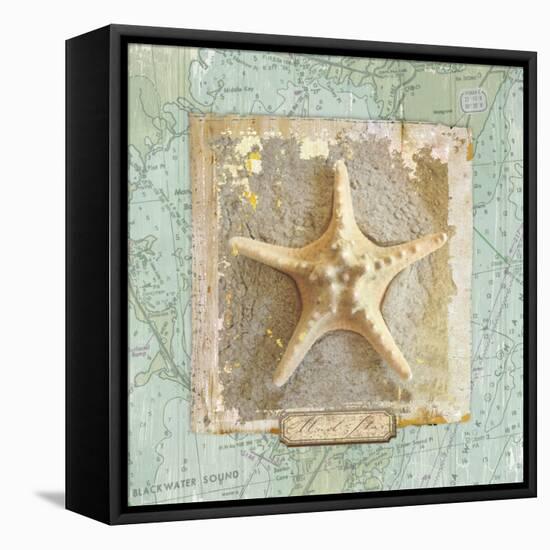 Seashore Collection III-Elizabeth Medley-Framed Stretched Canvas