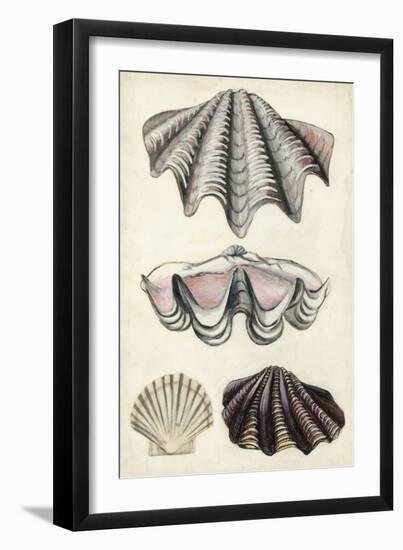 Seashore Field Notes IV-Naomi McCavitt-Framed Art Print