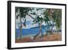 Seashore I, 1887, Island of Martinique-Paul Gauguin-Framed Giclee Print