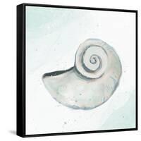 Seashore Shell 1-Kimberly Allen-Framed Stretched Canvas