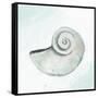 Seashore Shell 1-Kimberly Allen-Framed Stretched Canvas