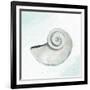 Seashore Shell 1-Kimberly Allen-Framed Art Print