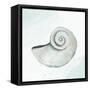 Seashore Shell 1-Kimberly Allen-Framed Stretched Canvas