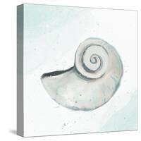 Seashore Shell 1-Kimberly Allen-Stretched Canvas