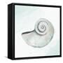 Seashore Shell 1-Kimberly Allen-Framed Stretched Canvas