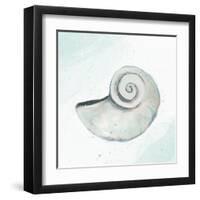 Seashore Shell 1-Kimberly Allen-Framed Art Print