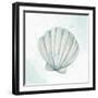 Seashore Shell 2-Kimberly Allen-Framed Art Print