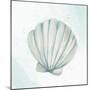 Seashore Shell 2-Kimberly Allen-Mounted Art Print