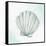 Seashore Shell 2-Kimberly Allen-Framed Stretched Canvas