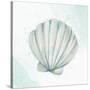 Seashore Shell 2-Kimberly Allen-Stretched Canvas