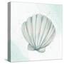 Seashore Shell 2-Kimberly Allen-Stretched Canvas