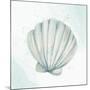 Seashore Shell 2-Kimberly Allen-Mounted Art Print