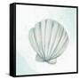 Seashore Shell 2-Kimberly Allen-Framed Stretched Canvas