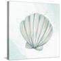 Seashore Shell 2-Kimberly Allen-Stretched Canvas