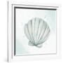 Seashore Shell 2-Kimberly Allen-Framed Art Print