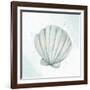 Seashore Shell 2-Kimberly Allen-Framed Art Print