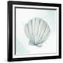 Seashore Shell 2-Kimberly Allen-Framed Art Print