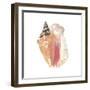 Seashore Souvenirs I-Naomi McCavitt-Framed Art Print