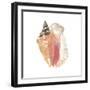 Seashore Souvenirs I-Naomi McCavitt-Framed Art Print