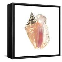 Seashore Souvenirs I-Naomi McCavitt-Framed Stretched Canvas