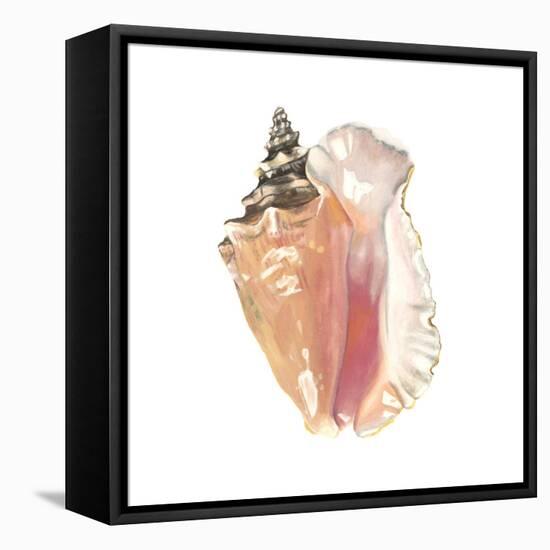 Seashore Souvenirs I-Naomi McCavitt-Framed Stretched Canvas