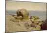 Seashore, the Crimea, 1886-Isaak Ilyich Levitan-Mounted Giclee Print