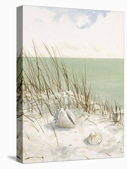 Seaside Bluff  -Arnie Fisk-Stretched Canvas