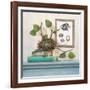 Seaside Branch-Arnie Fisk-Framed Art Print