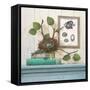 Seaside Branch-Arnie Fisk-Framed Stretched Canvas