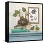 Seaside Branch-Arnie Fisk-Framed Stretched Canvas