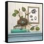 Seaside Branch-Arnie Fisk-Framed Stretched Canvas