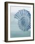 Seaside Card 2 V2-Allen Kimberly-Framed Art Print