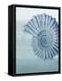 Seaside Card 2 V2-Allen Kimberly-Framed Stretched Canvas