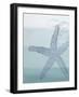 Seaside Card 4 V2-Allen Kimberly-Framed Art Print