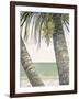 Seaside Coconuts-Arnie Fisk-Framed Art Print