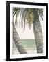 Seaside Coconuts-Arnie Fisk-Framed Art Print