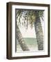Seaside Coconuts-Arnie Fisk-Framed Art Print